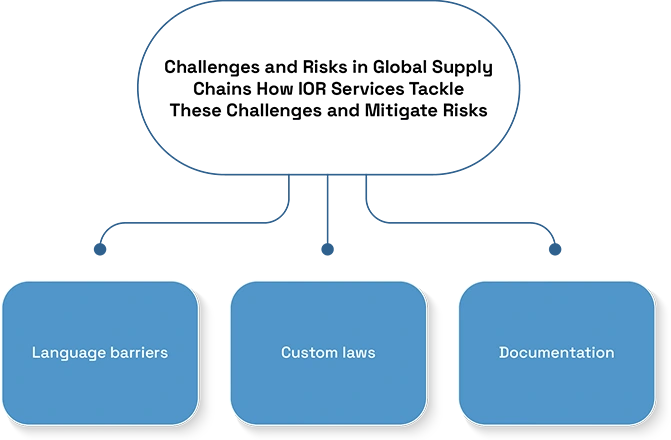 Importance of IOR Services in Global Supply Chains