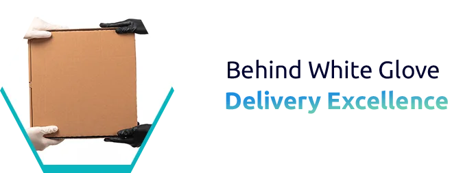 The IOR Effect: Transforming Supply Chain Landscapes