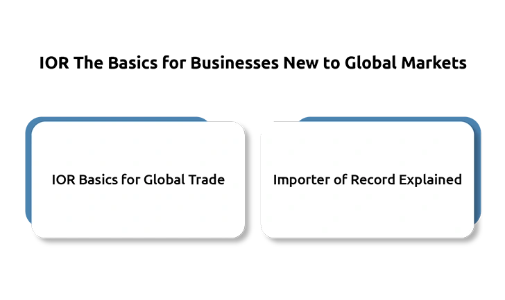 The Essential Guide to IOR for Businesses