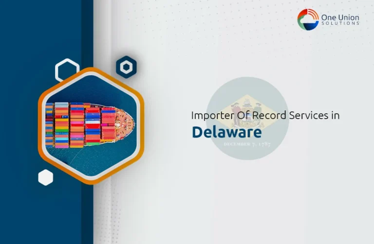 IOR Services in Delaware