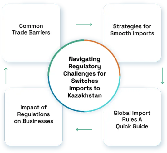 Navigating Regulatory Challenges for Switches Imports