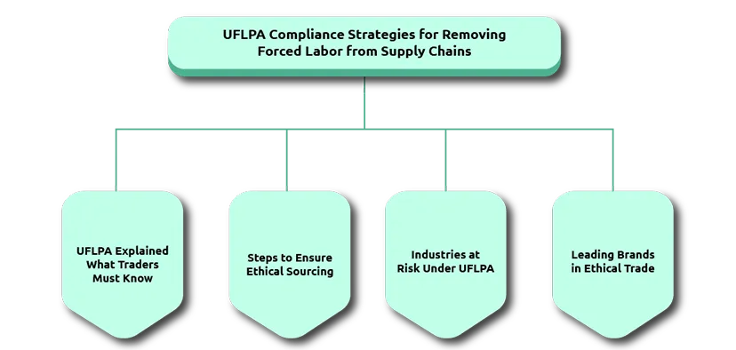 Strategies for Removing Forced Labor from Supply Chains