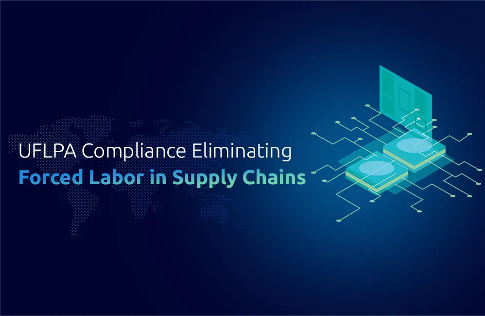 Strategies for Removing Forced Labor from Supply Chains