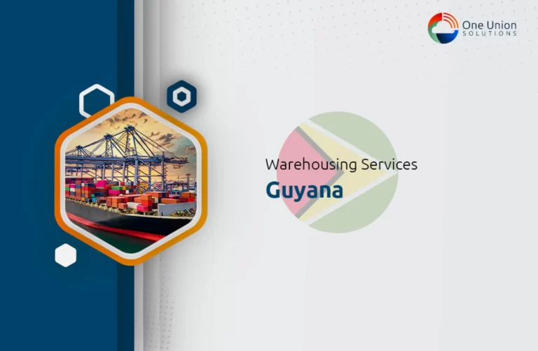 Warehousing Services: Guyana