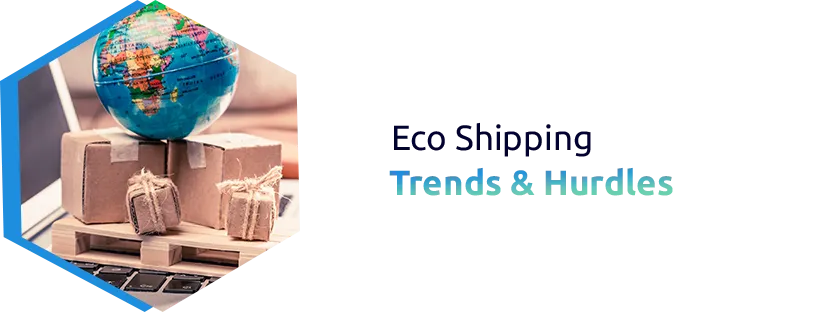 Eco-Friendly Packaging in Global Shipping: Trends and Challenges