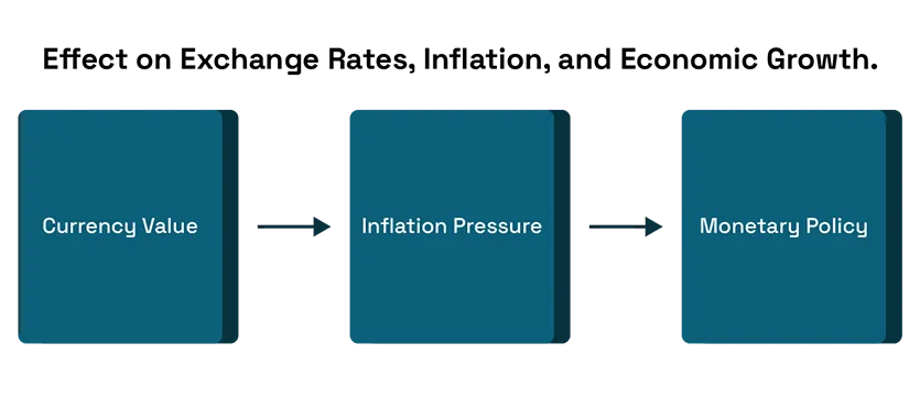 How Importing and Exporting Impact the World Economy