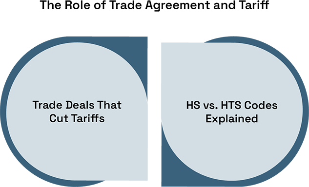 Air Freight vs. Sea Freight: When to Choose Air Freight in a Volatile Supply Chain