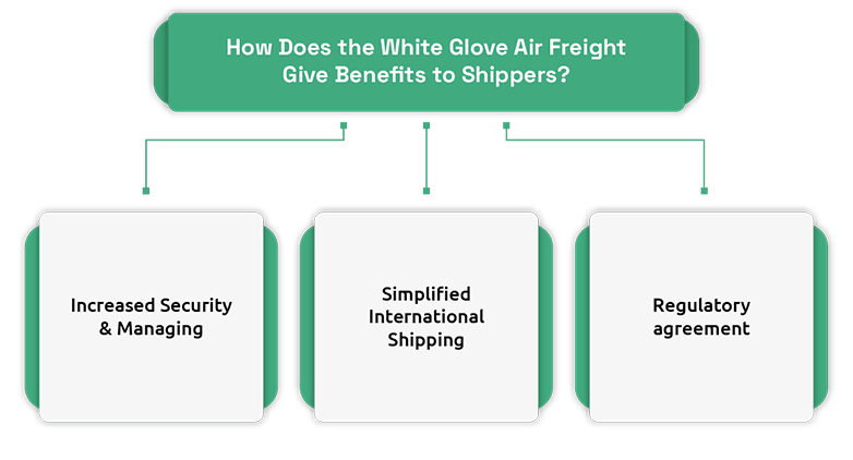 White Glove Air Freight for Sensitive & High-Value Goods.
