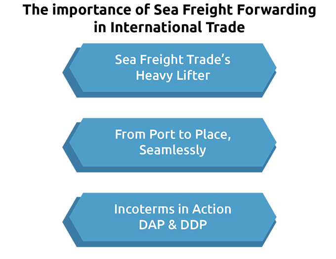 Why Freight Forwarders Are Necessary in Global Commerce