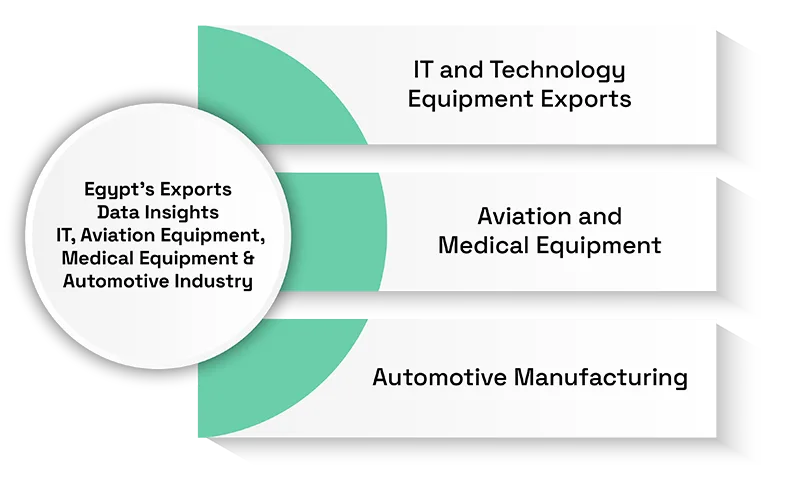 Egypt Export Data of 2025 IT, Medical & Aviation Exports