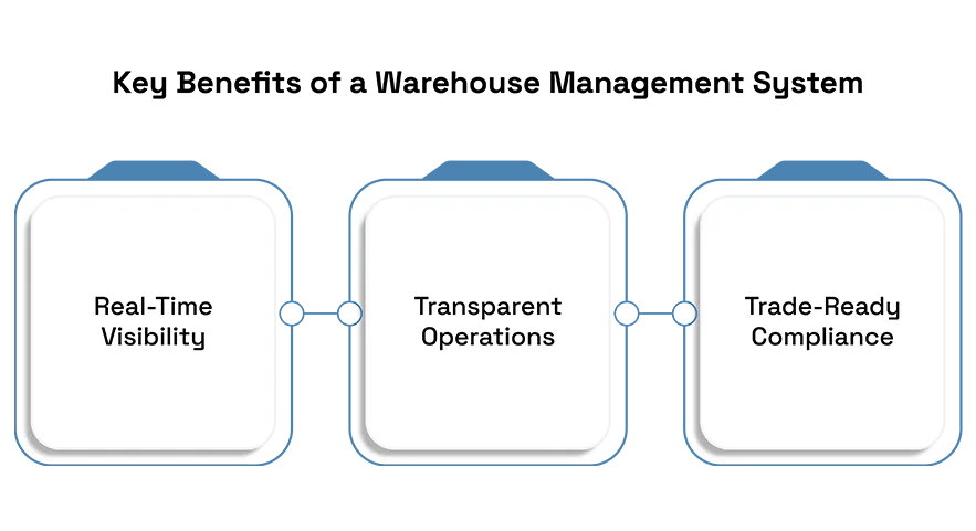 How to Choose the Right WMS for Businesses' Scalability