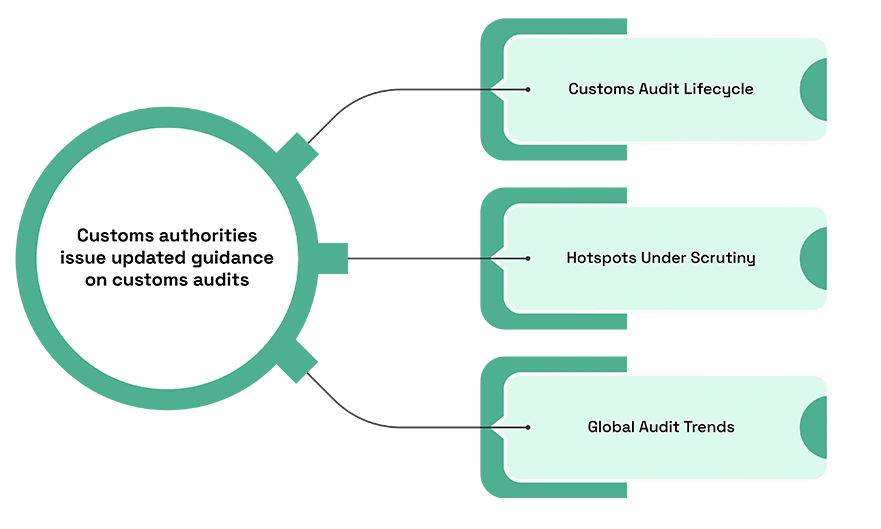 Why Customs Audits Happen Years After Delivery and How to Prepare