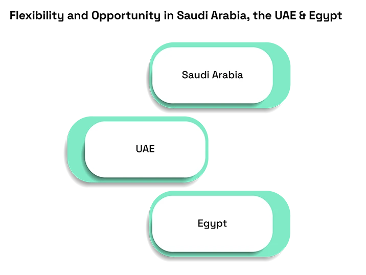 GCC Supply Chain Optimization & Trade Compliance in 2025