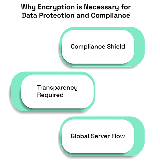 Servers with Encryption: Why Special Declarations Are Required