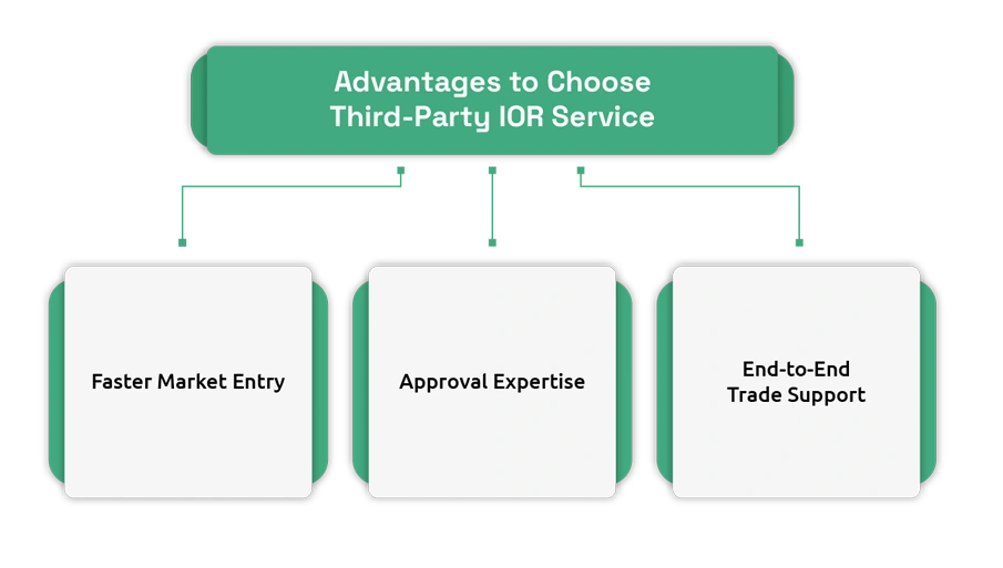 Third-Party Importer of Record (IOR) Service
