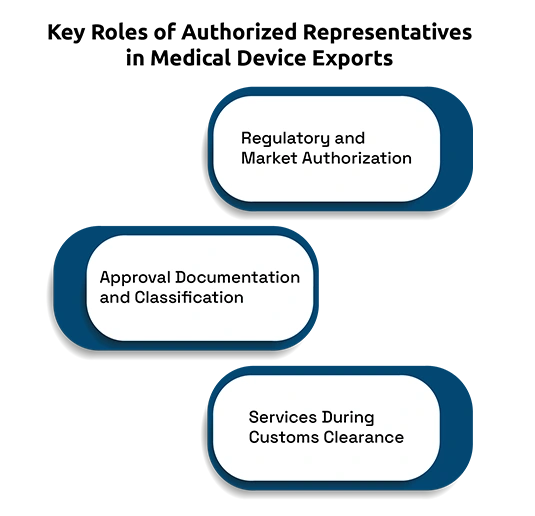 The Role of Authorized Representatives in Global Medical Device Exports