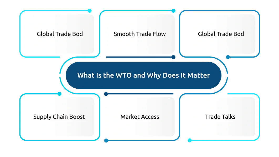 What Is the WTO and Why Does It Matter?