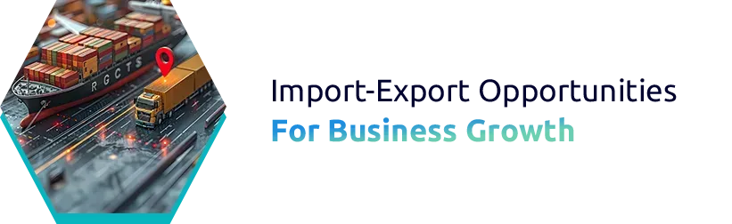 Import-Export Opportunities for Business Growth