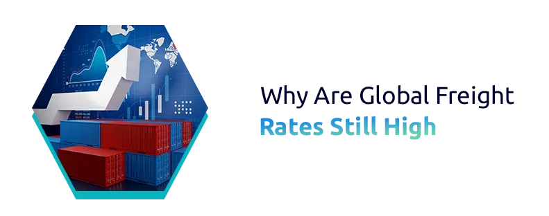 Why Are International Freight Rates Still High?