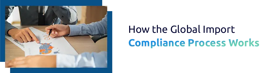 How the Global Import Compliance Process Works