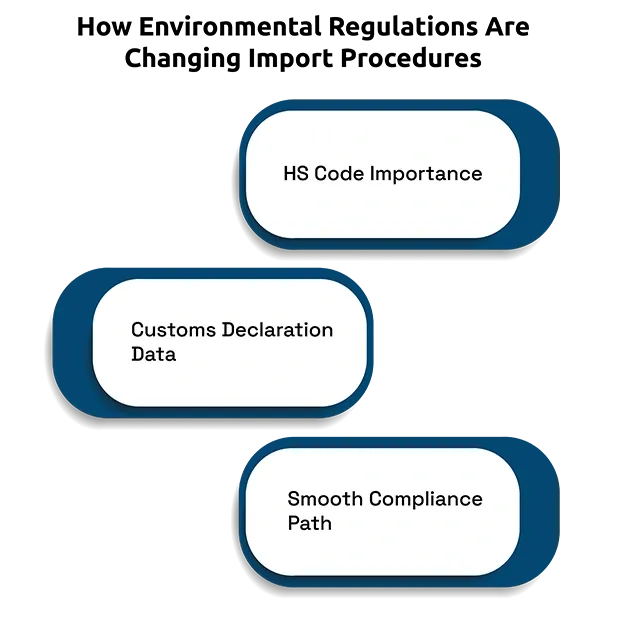 How Environmental Regulations Are Changing Import Procedures